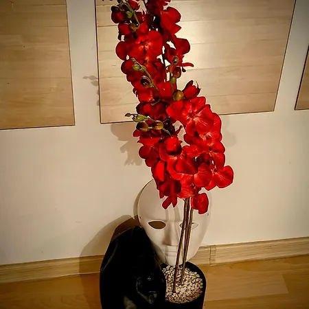 Bdsm Elysium Playsuite Appartement