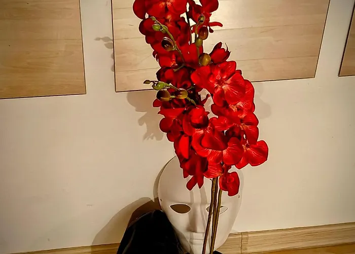 Bdsm Elysium Playsuite Apartament